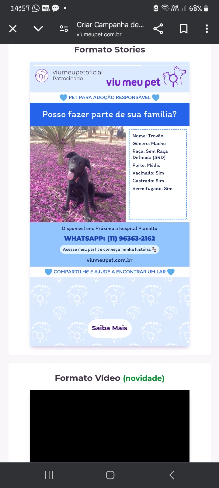 Portal Adocão Cachorro para adoção urgente  Guarulhos