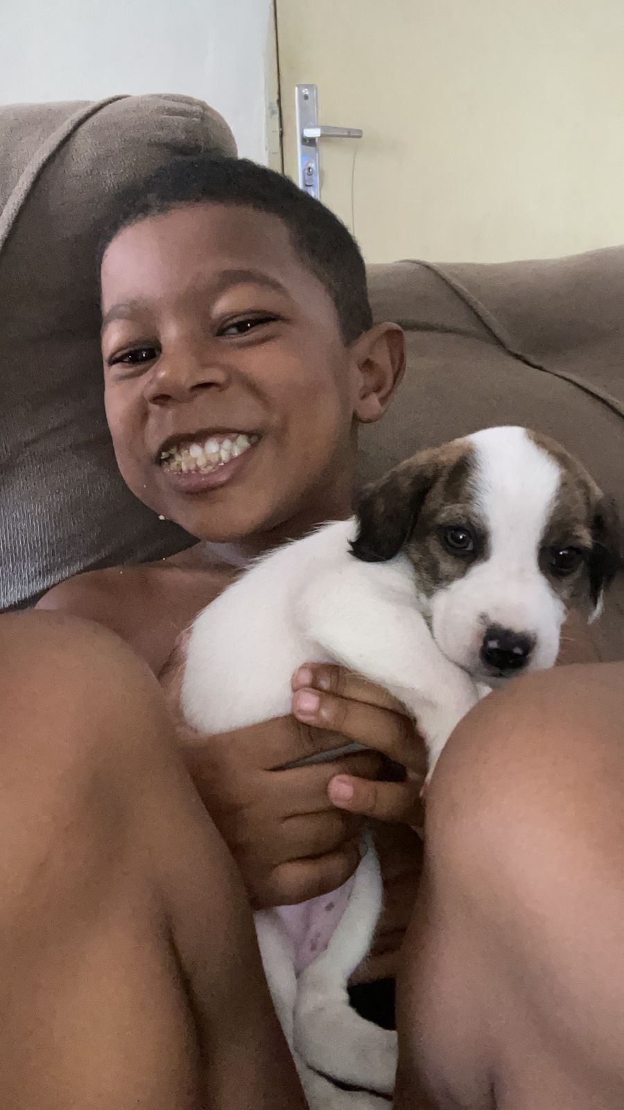 Portal Adocão 30 dias de nascido Maceio