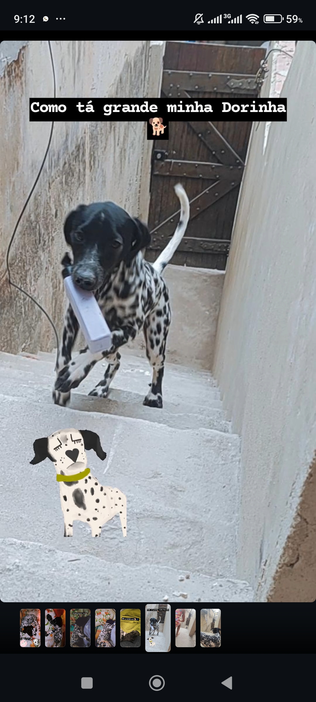Portal Adocão Doação da minha cachorra dálmata com labrador . Duque de Caxias